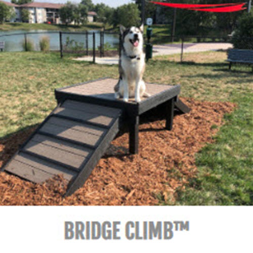 CAD Drawings BIM Models Gyms For Dogs Bridge Climb